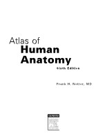 Frank H. Netter, MD - Atlas of Human Anatomy (6th ed ) 2014, page 4